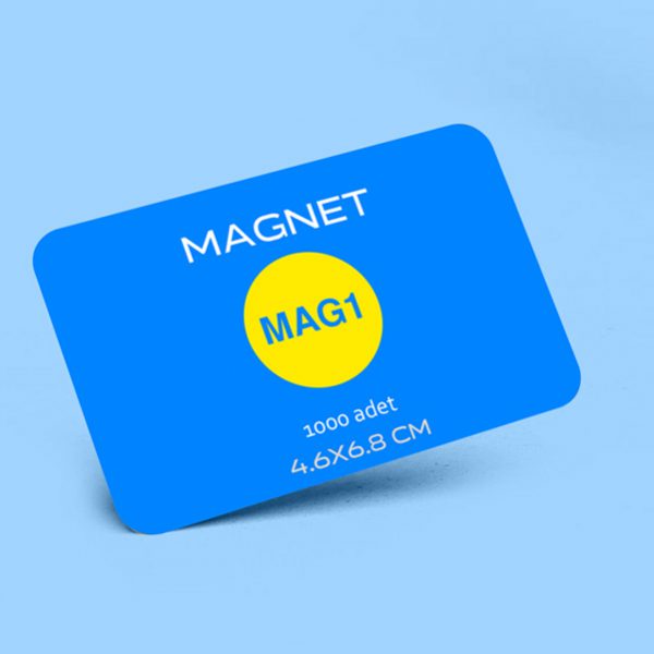 Magnet